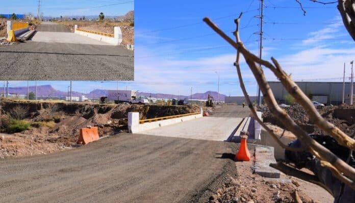 documento - 2026-02-20T133144.460