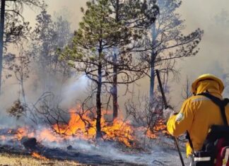 Logran sofocar incendio forestal en Aldama; consumió 30 hectáreas