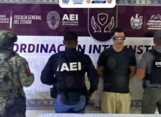 Revientan casa en la UP; Aseguraron 100 paquetes de droga