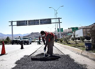 Hoy bacheo en Juventud, Dale, Sahuaros; Tabalaopa y más