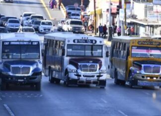 De la Peña critica a legisladores de Morena por reunión sobre transporte