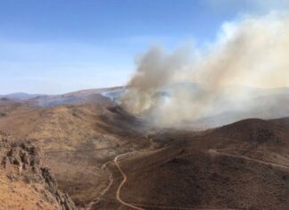Combaten incendio forestal al sur de la ciudad en Ejido Mápula