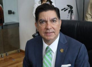 “Libertad, no ruptura”: Descarta PVEM fractura por votación de Reforma