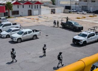 Reporta FGR decomisos de armas, drogas en Chihuahua durante febrero