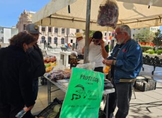 Productores de frijol denuncian falta de apoyos