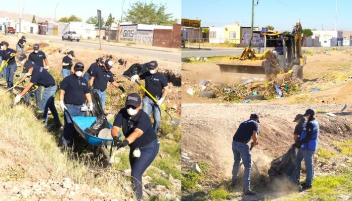 documento - 2026-03-26T134819.687