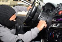 Reportó INS más de 400 vehículos robados el fin de semana