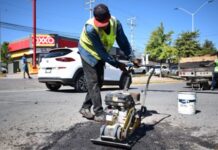 Bacheará Municipio la siguientes zonas