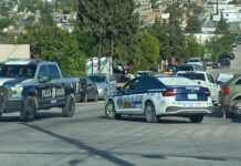Reportó Chihuahua dos homicidios en jornada nacional de 37 víctimas: SSPC