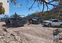 Capturan a sujeto armado y destruyen narcocampamentos en Nonoava