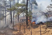 Reporta Chihuahua “Saldo Blanco” en incendios forestales