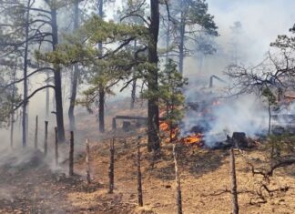 Reportan incendio forestal en Batopilas; afecta tres hectáreas