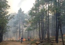 Controlan incendio en Batopilas; surge nuevo foco en San Juanito