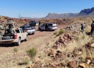 Registró el Estado Chihuahuense 7 homicidios ayer