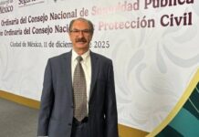 Colaboración con EU es positiva pero dentro del marco legal: Manjarrez