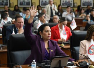 Aumentan pena y multa para quien desobedezca una orden de protección a favor de una víctima de violencia familiar