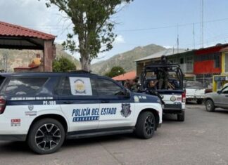 Disminuyen homicidios y robos en Chihuahua: Loya