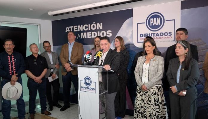 documento - 2026-05-12T140758.891