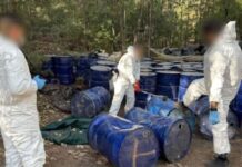 Tras mes y medio desmantelan narcolaboratorio en la Sierra
