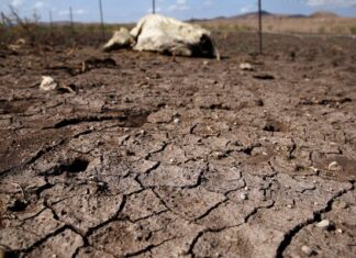 Aumenta área anormalmente seca en Chihuahua por falta de lluvias