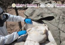 Desmantelan 3 narcolaboratorios en Sinaloa