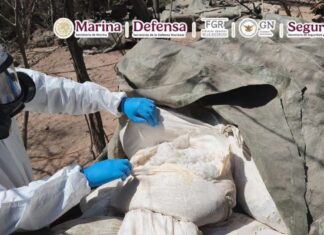 Desmantelan 3 narcolaboratorios en Sinaloa