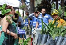 Para fomentar agricultura en casa; entregan semillas y árboles
