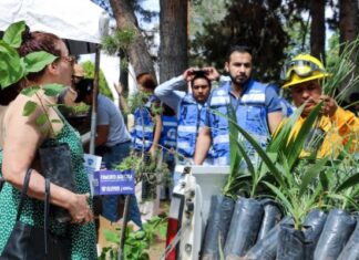 Para fomentar agricultura en casa; entregan semillas y árboles
