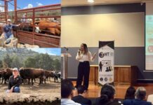 Competirá chihuahuense en 39° Congreso Nacional de Posgrado