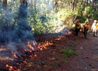 Liquidan 3 incendios en Chihuahua; 4 permanecen activos