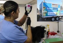 Presenta Municipio programa de esterilización de perros y gatos