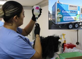 Presenta Municipio programa de esterilización de perros y gatos