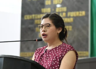Diputados, piden al estado y ayuntamientos reubicar ladrilleras