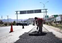 Bachearán Av. Vallarta, Tecnológico, entre otras