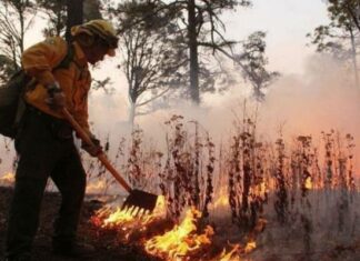 Sigue activo incendio en Janos; presenta 95% de control