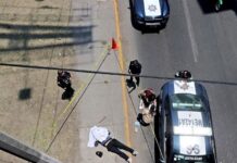 Reportó INS 30 homicidios ayer