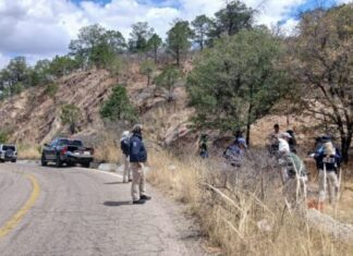 Identifican restos hallados en la carretera Parral–Guadalupe y Calvo