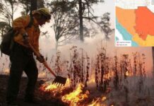 Reporta Conafor 13 incendios forestales activos en Chihuahua
