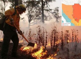 Reporta Conafor 13 incendios forestales activos en Chihuahua