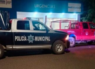 Joven pierde la vida en volcadura en Temósachic