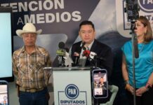 Proponen reforma para anular elecciones vinculadas al crimen