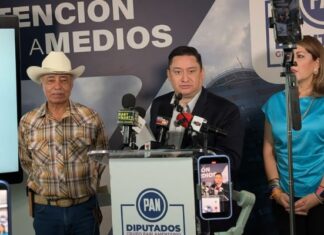 Proponen reforma para anular elecciones vinculadas al crimen