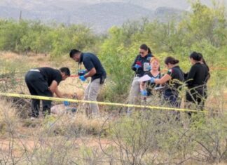 Identifican a ejecutado en camino de terracería rumbo a Aldama