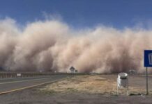 ¡Precaución! Alertan por tolvaneras en carretera Chihuahua–Juárez