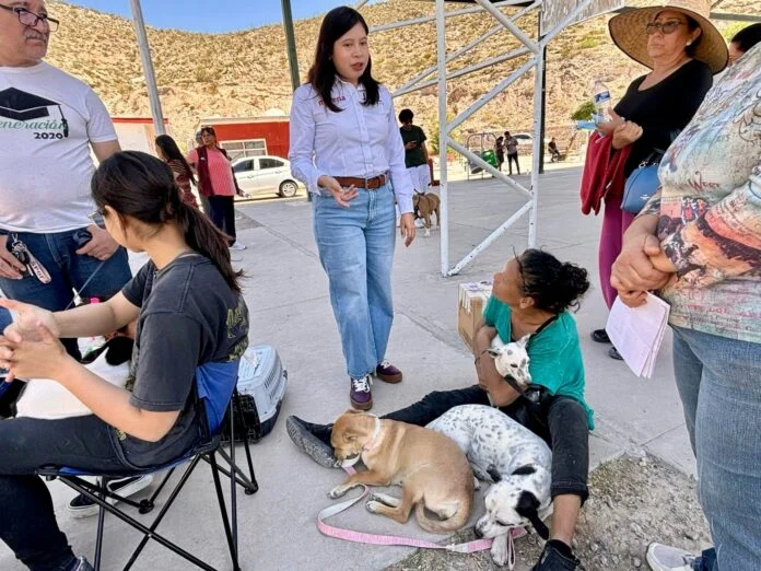 pausa-mx-realiza-diputada-jael-arguelles-200-esterilizaciones-en-palo-chino-696x522.jpeg