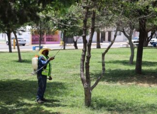 Realizan fumigación preventiva en parques y vialidades