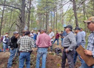 Capacitan a brigadistas en sanidad forestal