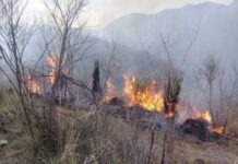 Chihuahua ocupa quinto lugar nacional en incendios forestales
