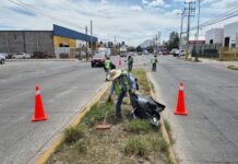 Retiraron más de 100 toneladas de basura al norte de la ciudad