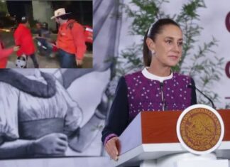 Sheinbaum exige esclarecer asesinato de César Gastélum